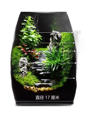 微景观中式创意假山流水陶罐造景植物家居室内客厅办公室桌面摆件
