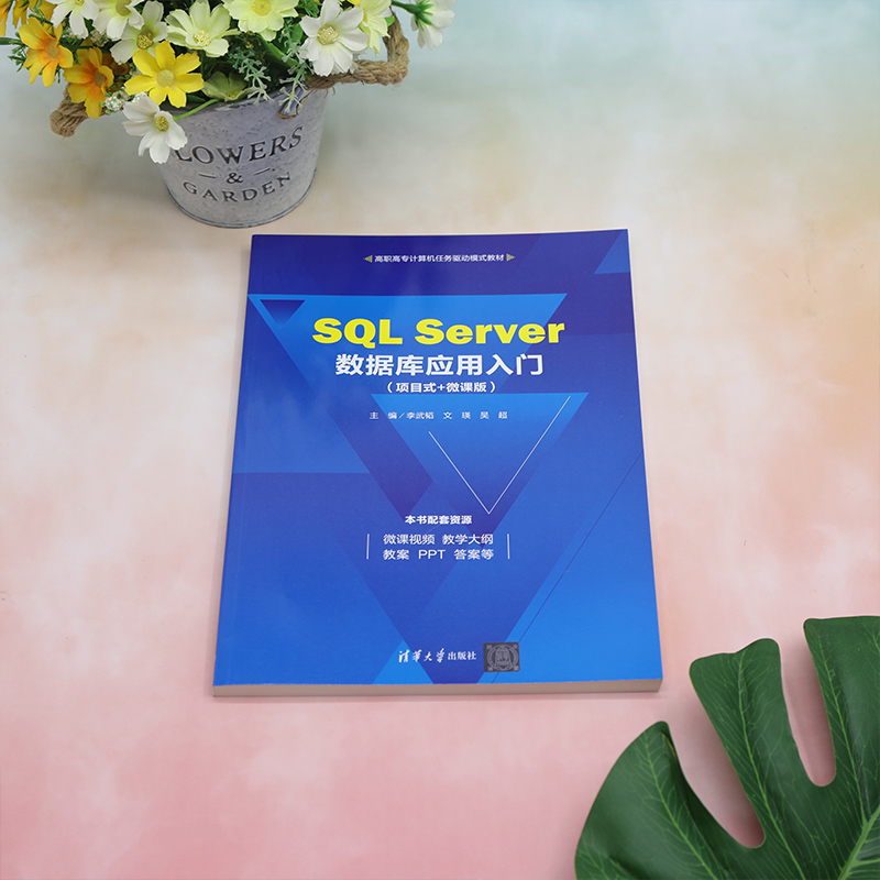 SQL Server数据库应用入门(项目式+微课版)：李武韬,文瑛,吴超 编 大中专理科计算机 大中专 清华大学出版社 正版图书 - 图1