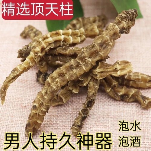 【顶天柱不老草】阳劲鞭 野生中草药泡酒泡茶料 云南苗家腾冲特产 - 图0