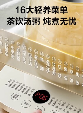苏泊尔316养生壶炖煮一体煮茶器