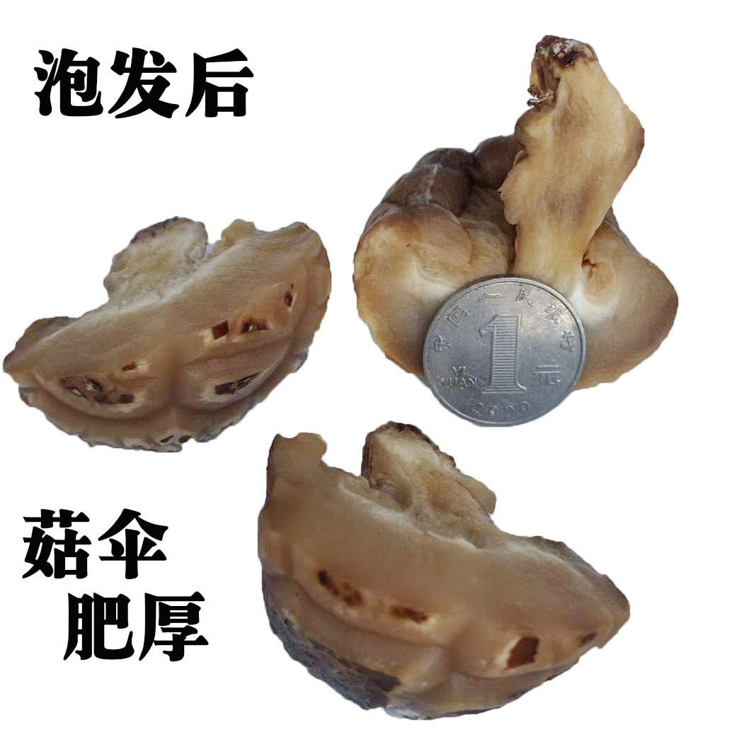 椴木花菇干货陕西汉中特产木青冈木花菇500克/袋包邮汉中椴木花菇高清大图
