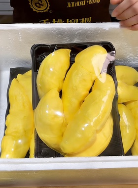 仿真榴莲模型装饰道具用品