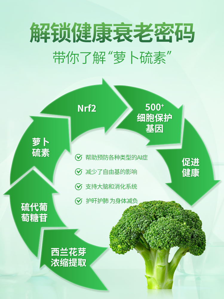 圣伯德SanctBernhard进口萝卜硫素 西兰花芽提取物胶囊60粒西兰花