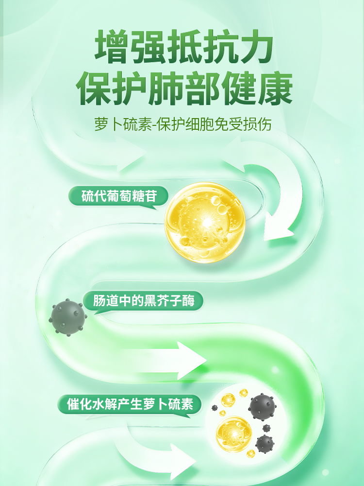 圣伯德SanctBernhard进口萝卜硫素 西兰花芽提取物胶囊60粒西兰花