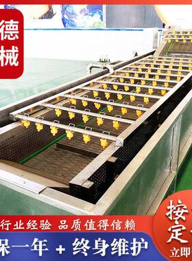 厂家果蔬气泡清洗机蕨菜加工清洗机商用大型瓜果肉类龙虾清洗设备