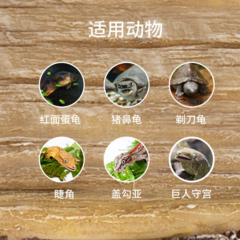 reptizoo爬虫睫角守宫食盆水盆蜥蜴乌龟树脂防翻造景树栖喂食晒台,淘宝优惠券,粉丝福利购,淘宝优惠卷