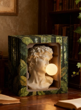 砂岩大卫头像轻奢泡泡灯摆件