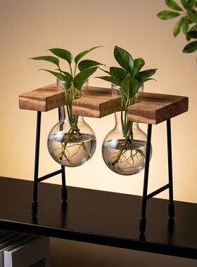 双瓶玻璃水培木架桌面花器