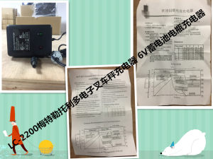 LC-2200梅特勒托利多电子叉车秤充电器 6V蓄电池电瓶充电器