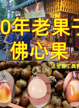 正宗正宗千眼菩提子原料原籽佛心果金包玉原子文玩手串佛珠菩提子
