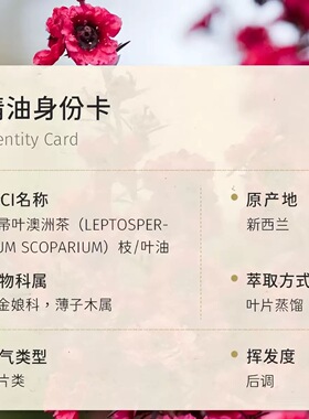 新西兰有机松红梅 麦卢卡单方精油 口腔牙龈高效妇科油 修复粘膜