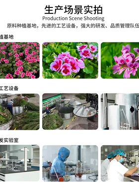 南非产区 香叶天竺葵单方纯精油 红润肌肤面部按摩平衡水油香薰