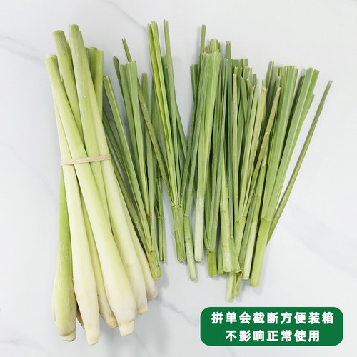 新鲜香茅柠檬草泰式冬阴功食材料烤鱼商用柠檬茶原料香料顺丰速运 - 图1