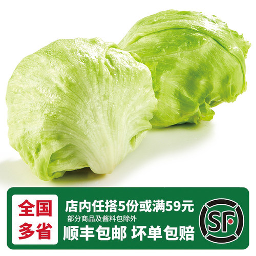 新鲜球生菜500g圆生菜球西餐汉堡即食沙拉食材火锅配菜 顺丰速运 - 图0