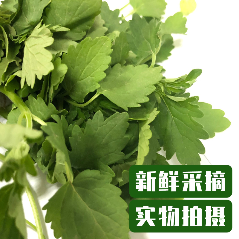 好新鲜水果蔬菜益母草坤草野菜女性姨妈修养生理期坐月子顺丰速运