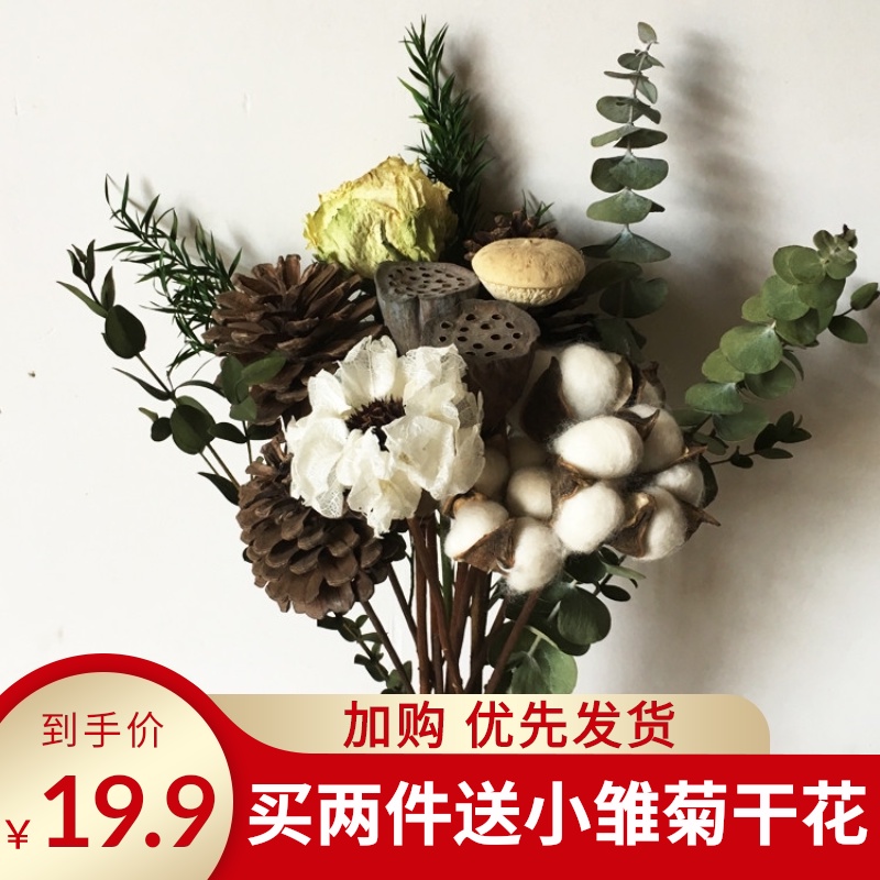 乾燥花裝飾 新人首單立減十元 21年9月 淘寶海外 乾燥花裝飾 新人首單立減十元 21年9月 淘寶海外