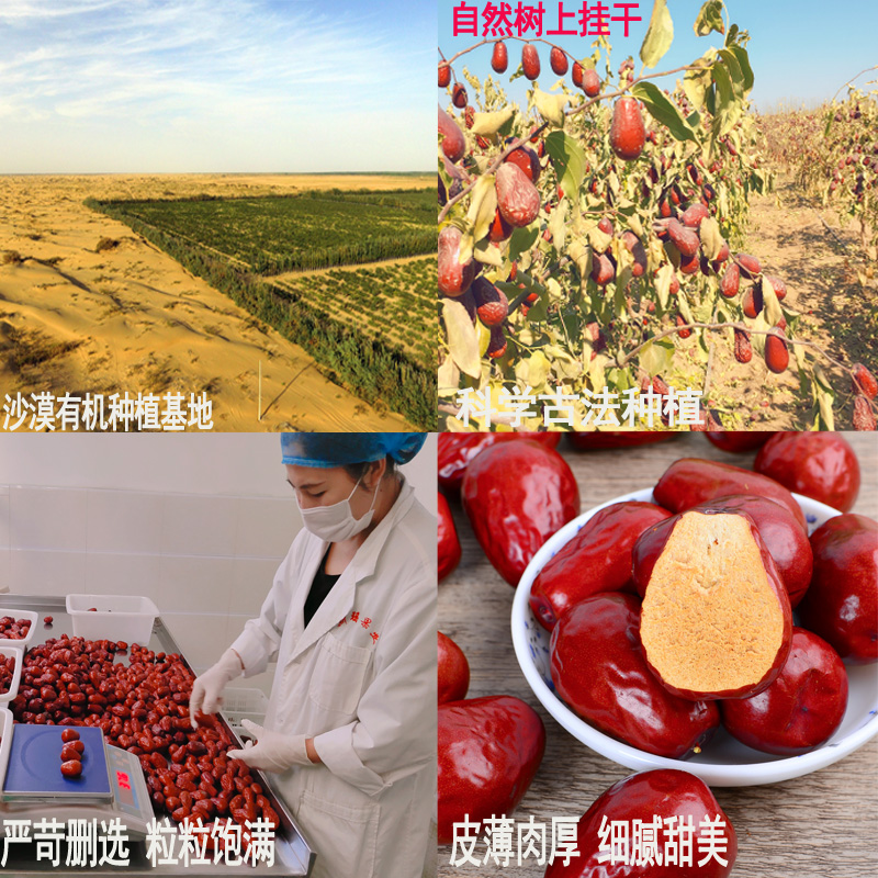 金沙传奇 精选 有机红枣1984g 正宗新疆和田大红枣 4袋实惠零食枣