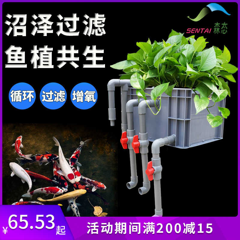 魚菜共生diy 新人首單立減十元 21年8月 淘寶海外