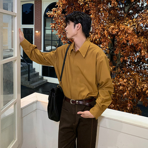 Hualun抗皱衬衫男士长袖高级感痞帅纯色内搭上衣cleanfit免烫衬衣 - 图0