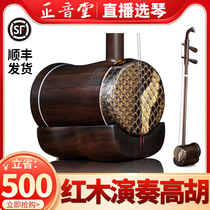 Zhengsoundtang Hongmu High Hu Boutique High Hu Musical Instruments Professional Examination Class to perform the direct marketing of the violin with red wood high Hu factory