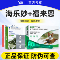 Sea Leiny Kitty Insect Repellent inside and outside Forgot in vitro Insect Repellent Drops Into Young Cat Flea Love Walker