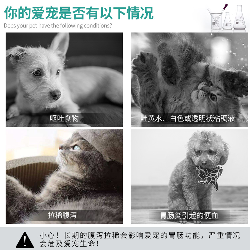 卜尼猫拉肚子狗狗拉稀猫咪拉肚子宠物拉血犬腹泻呕吐肠炎