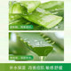 ແນະນຳໂດຍ Yangma! Curaçao Aloe Vera Gel ເປັນອັນດັບ 1 ໃນບັນຊີລາຍຊື່ TOP