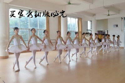 成人儿童专业芭蕾舞裙演出舞蹈服装定做睡美人女纱裙TUTU蓬蓬裙 - 图2