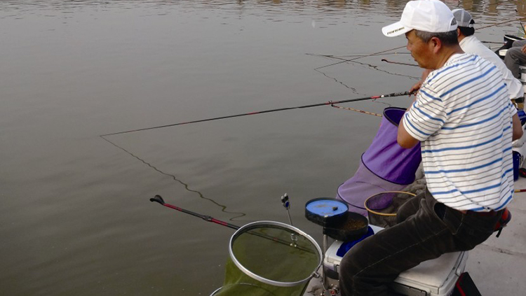 天然海藻粉垂钓打窝饵料钓鱼饵黑坑池塘水库鲫鲤鱼小药DMPT添加剂 - 图2