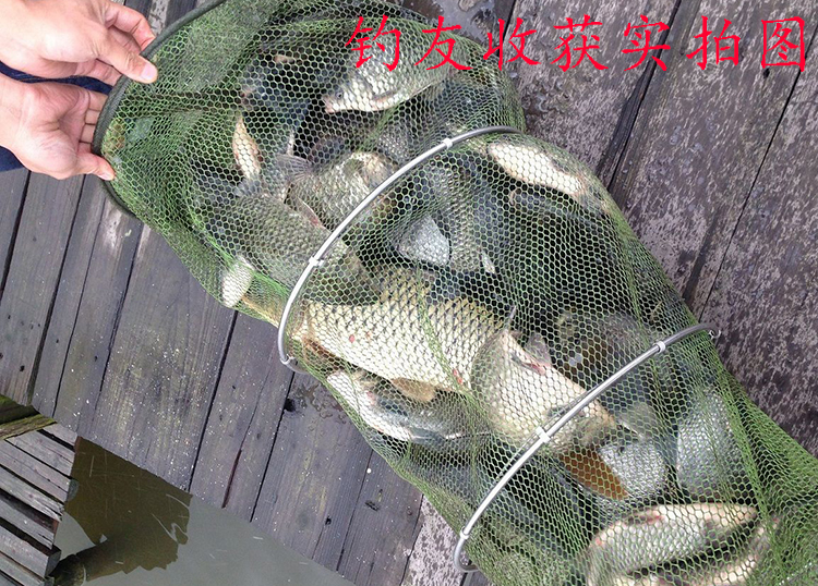 包邮纯蚕蛹粉垂钓鱼饵料鲤鱼打窝野钓水库池塘黑坑小药诱饵添加剂,淘宝优惠券,粉丝福利购,淘宝优惠卷