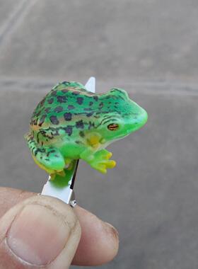 宝宝头饰青蛙发夹边夹刘海夹顶夹