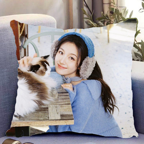 李兰迪周边双面抱枕人物照片同款靠枕靠垫带枕芯枕头套礼物可定制 - 图0