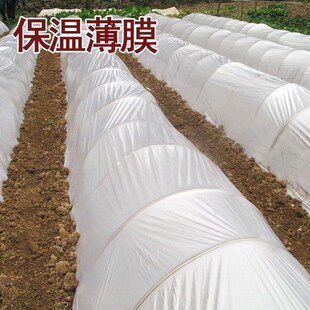 促销加厚塑料布多用防雨防水防尘封窗户薄膜透明养殖农用大棚保温 - 图0