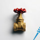 Jackron brass gate valve tap water valve internal thread thread air conditioning fire pipe valve 169 Z15W-16T