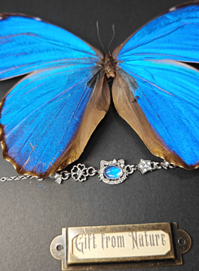 大蓝闪蝶手作HelloKitty手链原创百搭轻奢生日七夕礼物送女友