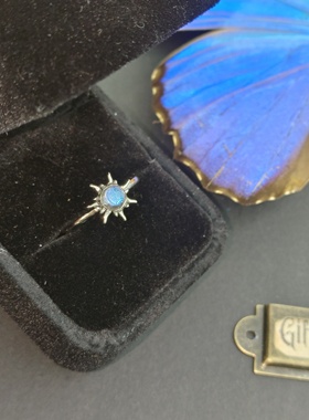 大蓝闪蝶真蝴蝶标本镀银戒指太阳图案精致ins设计生日礼物送女友