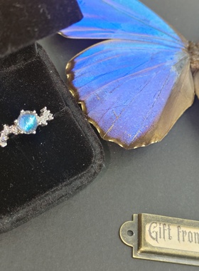 大蓝闪蝶真蝴蝶标本镀银戒指精致ins设计简约风生日礼物送女友