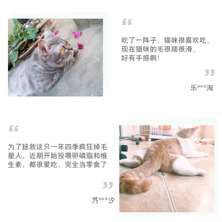 卫仕猫多维猫咪用复合维生素片b2宠物幼猫营养膏品猫藓维生素b族-图1