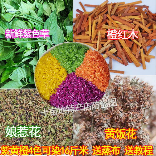 紫米草紫蓝草广西三月三五色糯米饭植物染料天然红色黄染饭红蓝草 - 图1