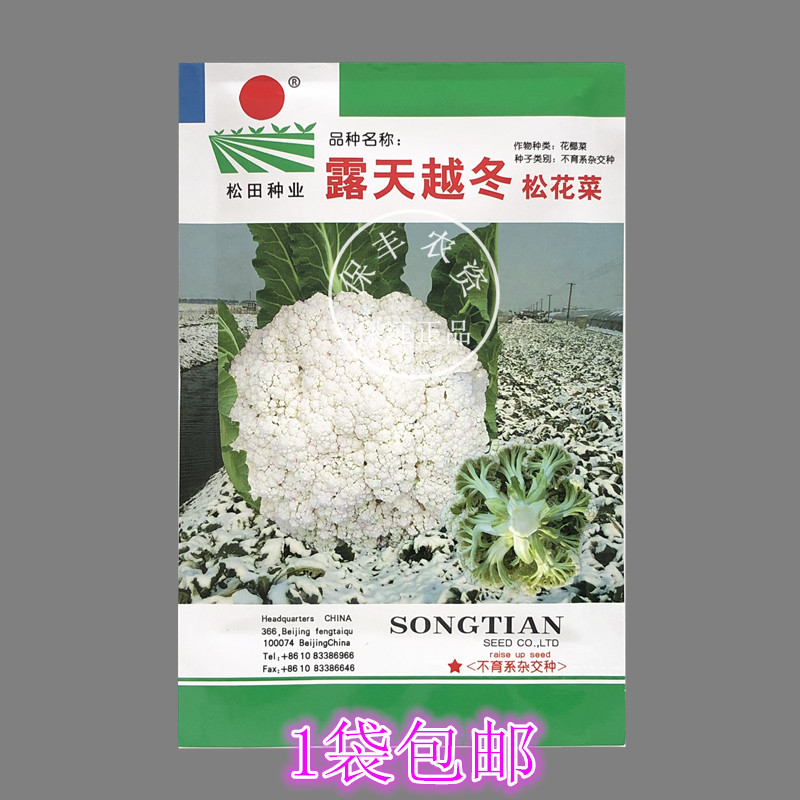 日本露天 新人首单立减十元 21年8月 淘宝海外