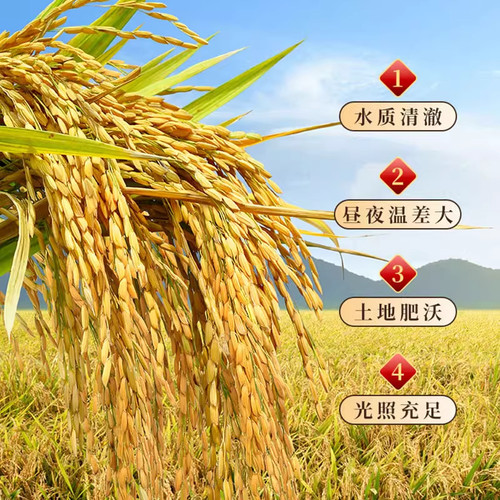 永泽官方新米长粒香米东北黑土地大米GB/T1354长粒米5KG真空包装 - 图2