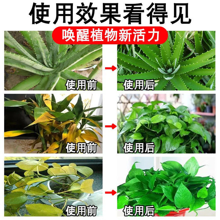 免稀释植物营养液通用型室内盆栽绿植花卉叶面肥喷施花草发财树 - 图1