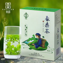 Achat 2 livraison 1 Sichuan Shangshan Spring mulberry tea wild tendre leaf tendre sprouts mulberry leaf tea non-special-level farmhouse Chinese herbal medicine