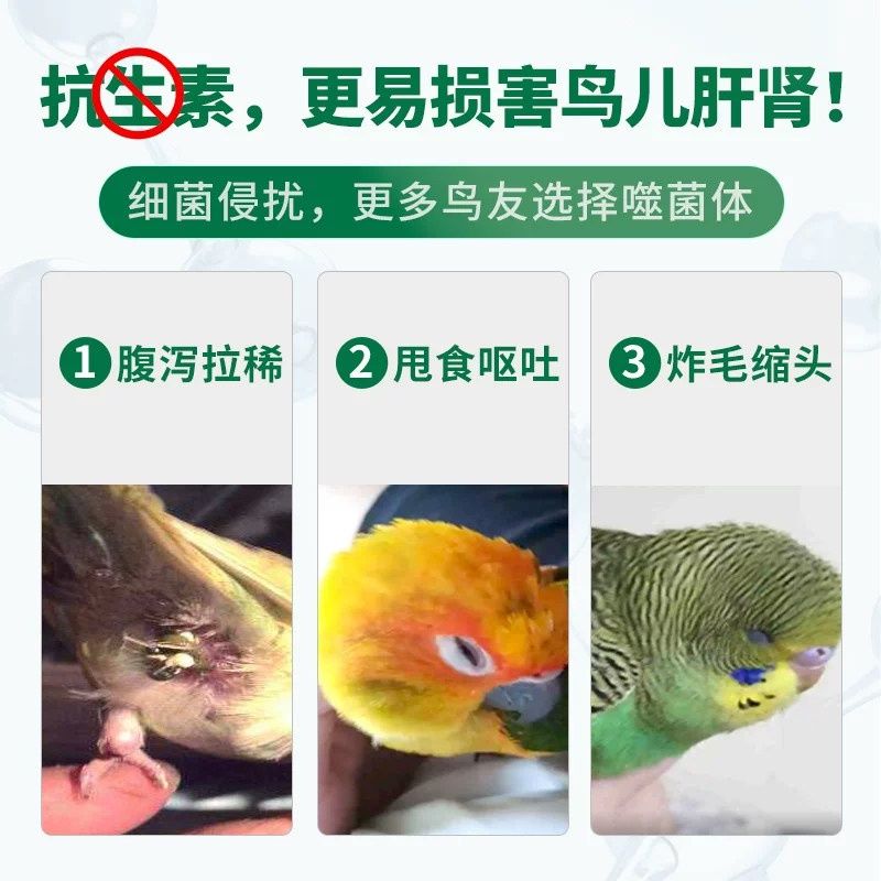 鹦鹉鸟用噬菌体水绿便炸毛肠道拉水粪便不成型赢宠噬菌液保障水质