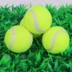 Pet tennis cao đàn hồi đồ chơi bóng chó chó đồ chơi tóc vàng teddy chó đào tạo bóng cung cấp - Mèo / Chó Đồ chơi Mèo / Chó Đồ chơi