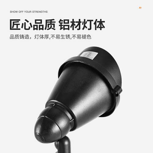 led投射灯射树灯户外防水插泥灯照树投光灯草坪灯园林插地灯超亮 - 图2