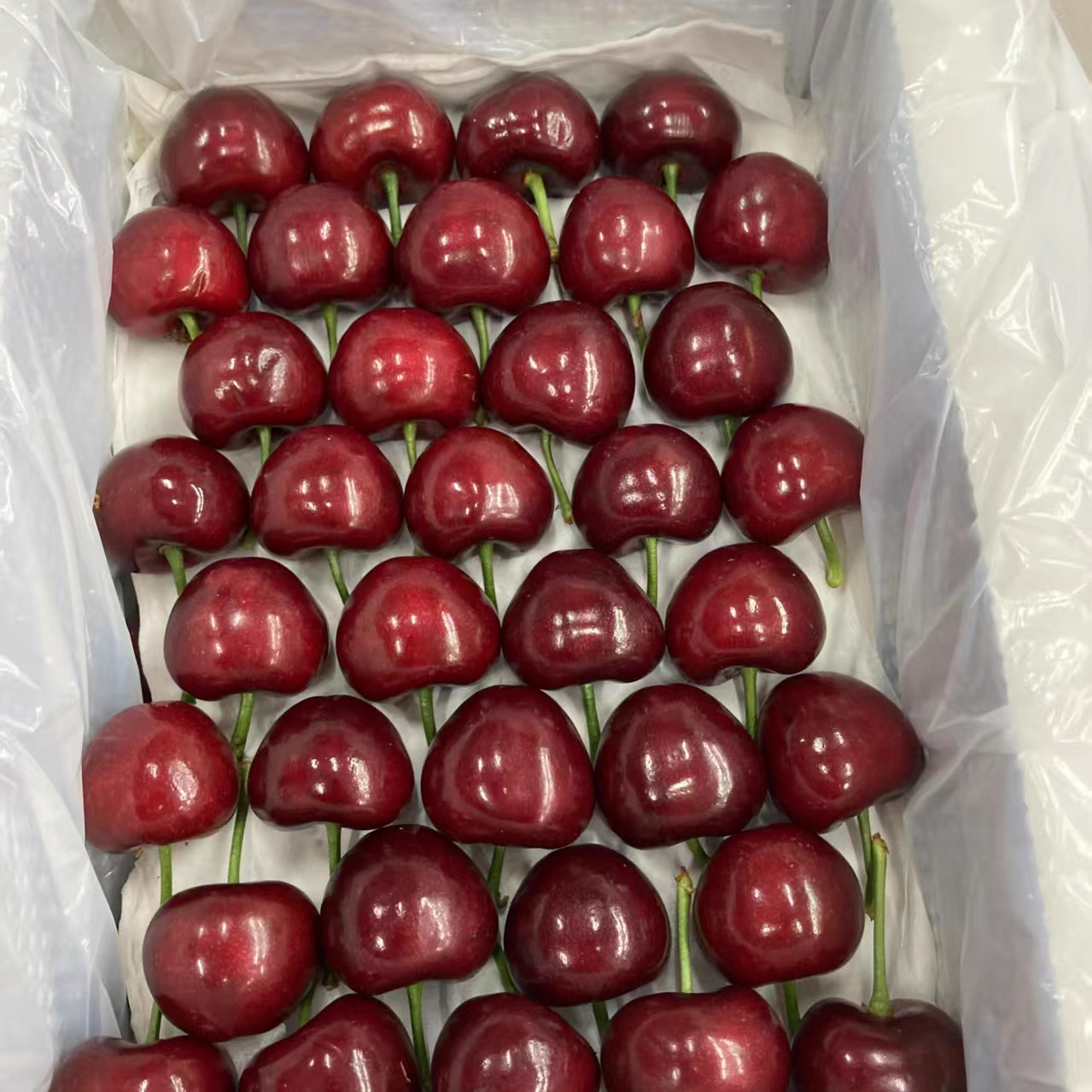 山东烟台大樱桃国产车厘子新鲜水果脆甜美早孕妇儿童现摘布鲁克斯,淘宝优惠券,粉丝福利购,淘宝优惠卷