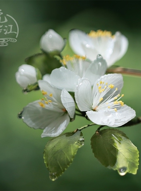 山梅花发簪古风热缩日常汉服古风