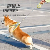 Madden Автоматическая телескопическая тяговая веревка ходьба, кошки, маленькие собаки Bomei Teddy Corgi Dog Guled and Back Cat