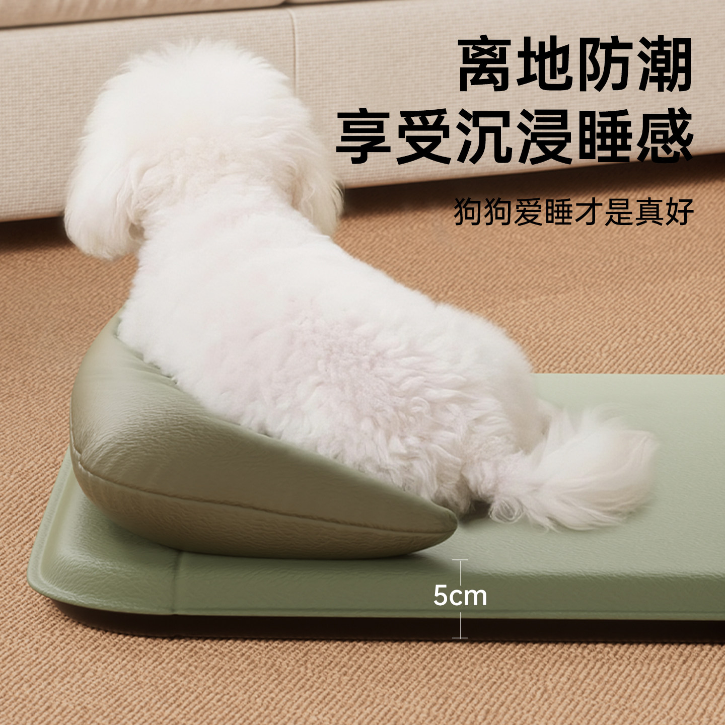 图5
